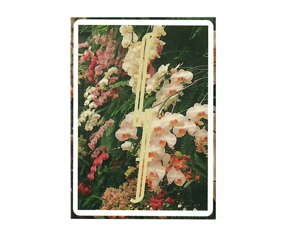 Botanical Fontaine