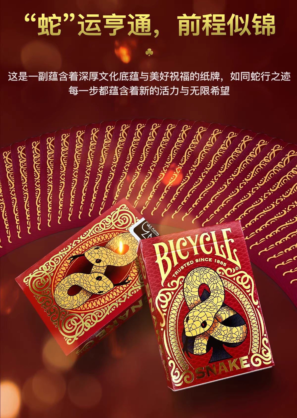 Bicycle Snake 2025