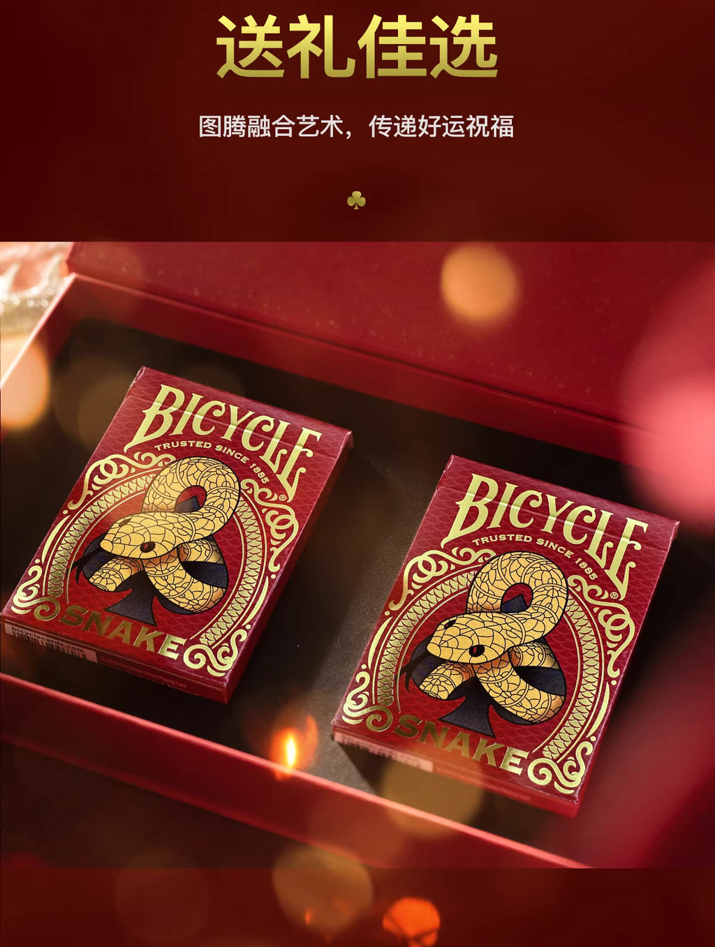 Bicycle Snake 2025