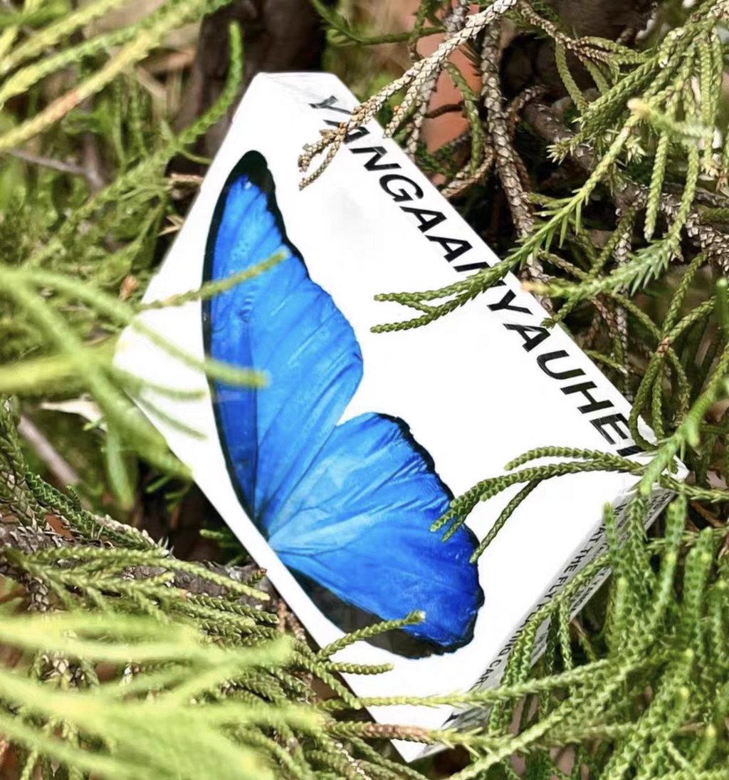 What The Fly V1 Playing Cards