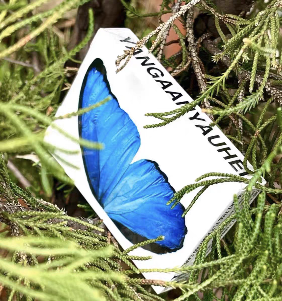 What The Fly V1 Playing Cards