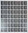 Floral Uncut Sheet