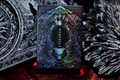 Night Three Phases —— Werewolf （Standard Edition）