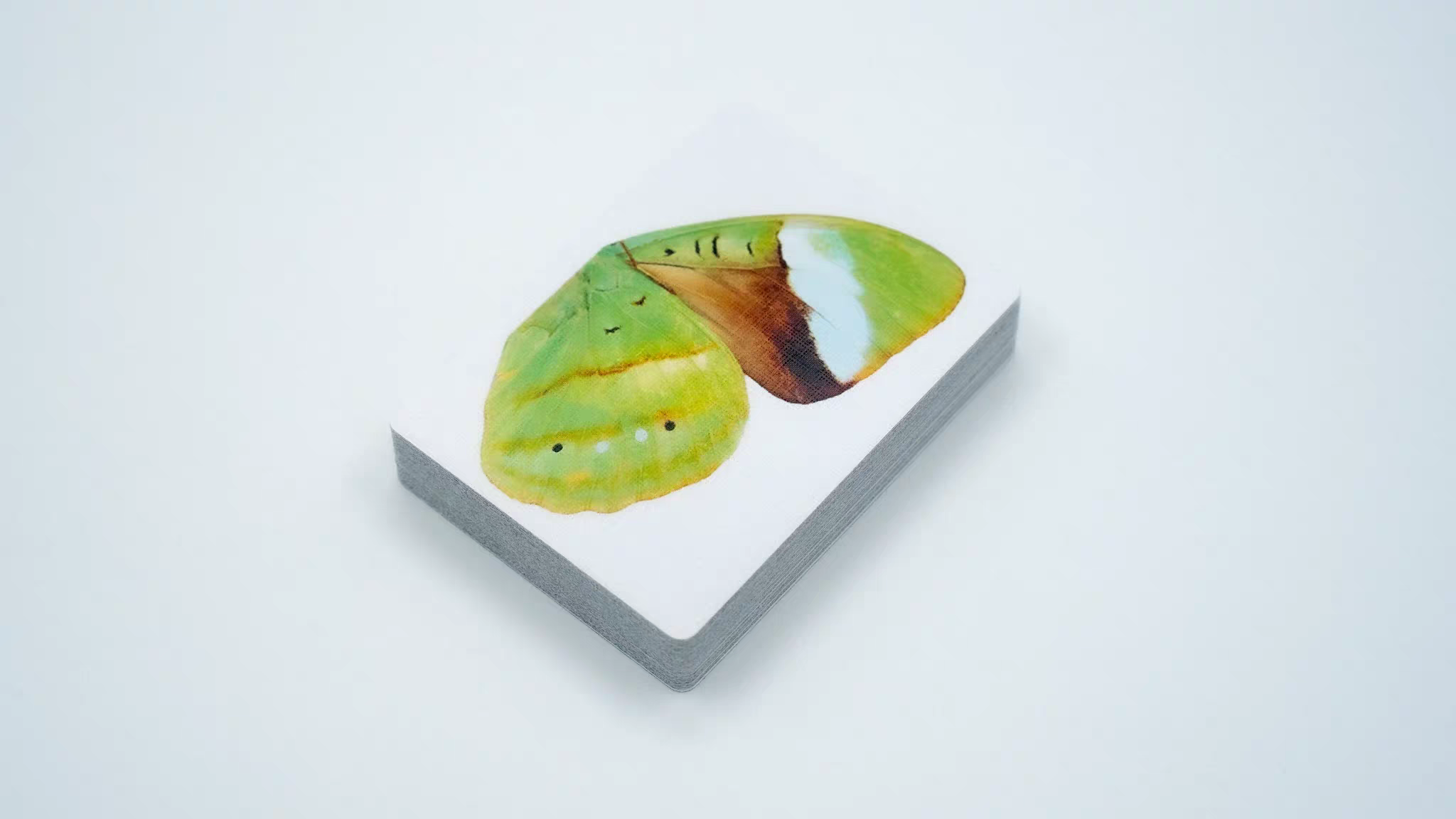 What The Fly V3 Playing Cards