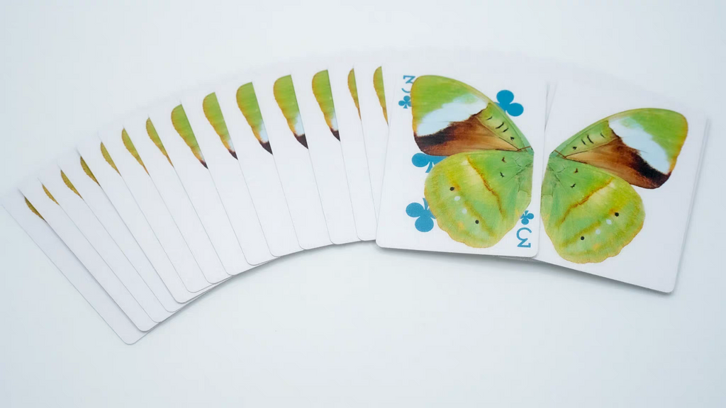 What The Fly V3 Playing Cards